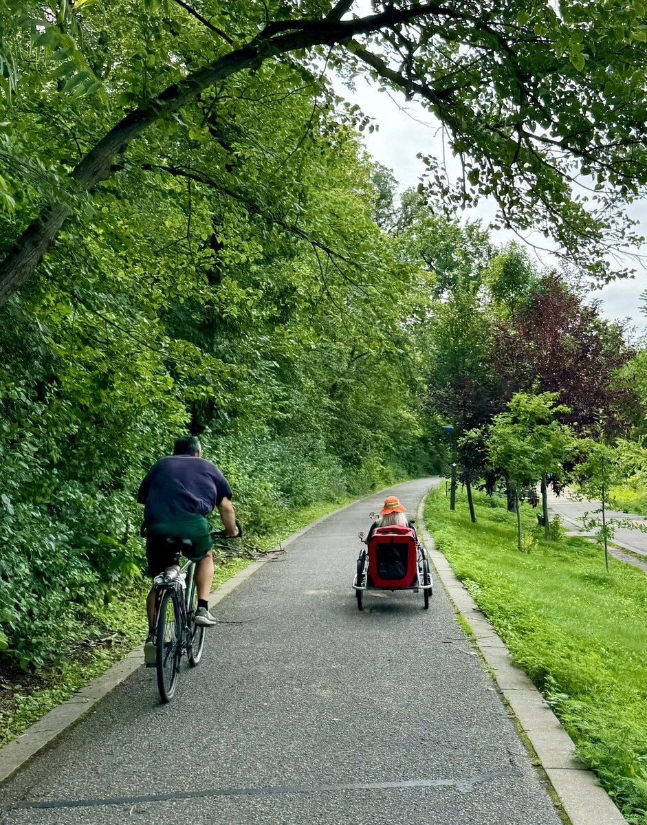 We need to design our bike infrastructure for all ages &amp; abilities, including &amp; especially older folks on recumbent bikes, hauling a dog trailer. 🚲 ❤️