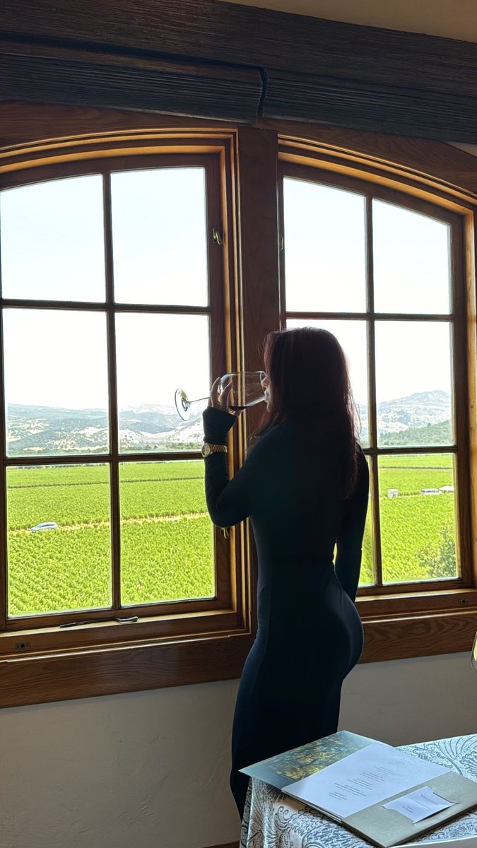 NeelahSheikh's tweet photo. If you want to succeed in business, remember it's all on you. 

You're the one grinding early mornings, late nights. 

Work hard so you can enjoy views like this. 🍷

If you don’t have this dream view , why are you not working ? https://t.co/58C9abbK6T
