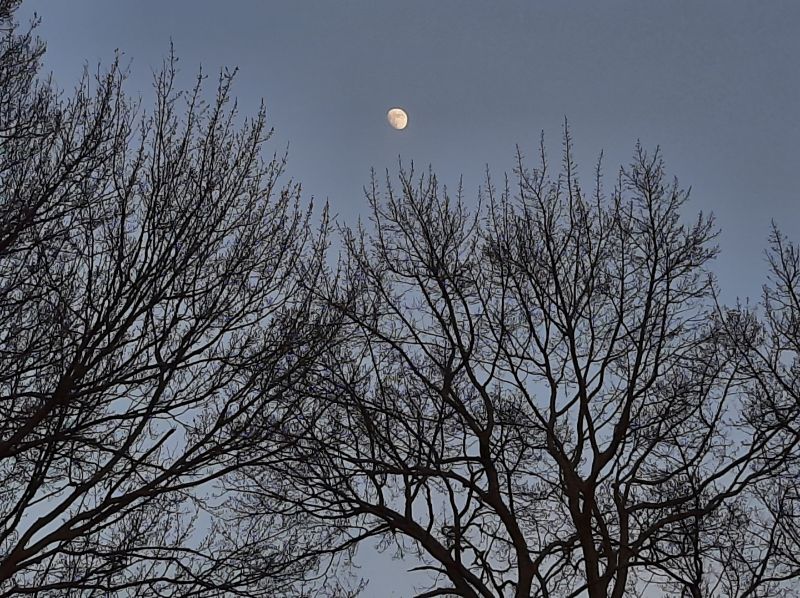 FototakerTony's tweet photo. Not at all recent, in fact this #SWEETmemory of last year just shows how much I think of #myMoon whenever she's up in #mySky! #cellPix #smartphonePicture #westernNY @MoonHourSocial #moonHour #lookUP #laLuna #moon https://t.co/ibKU3gkBrA