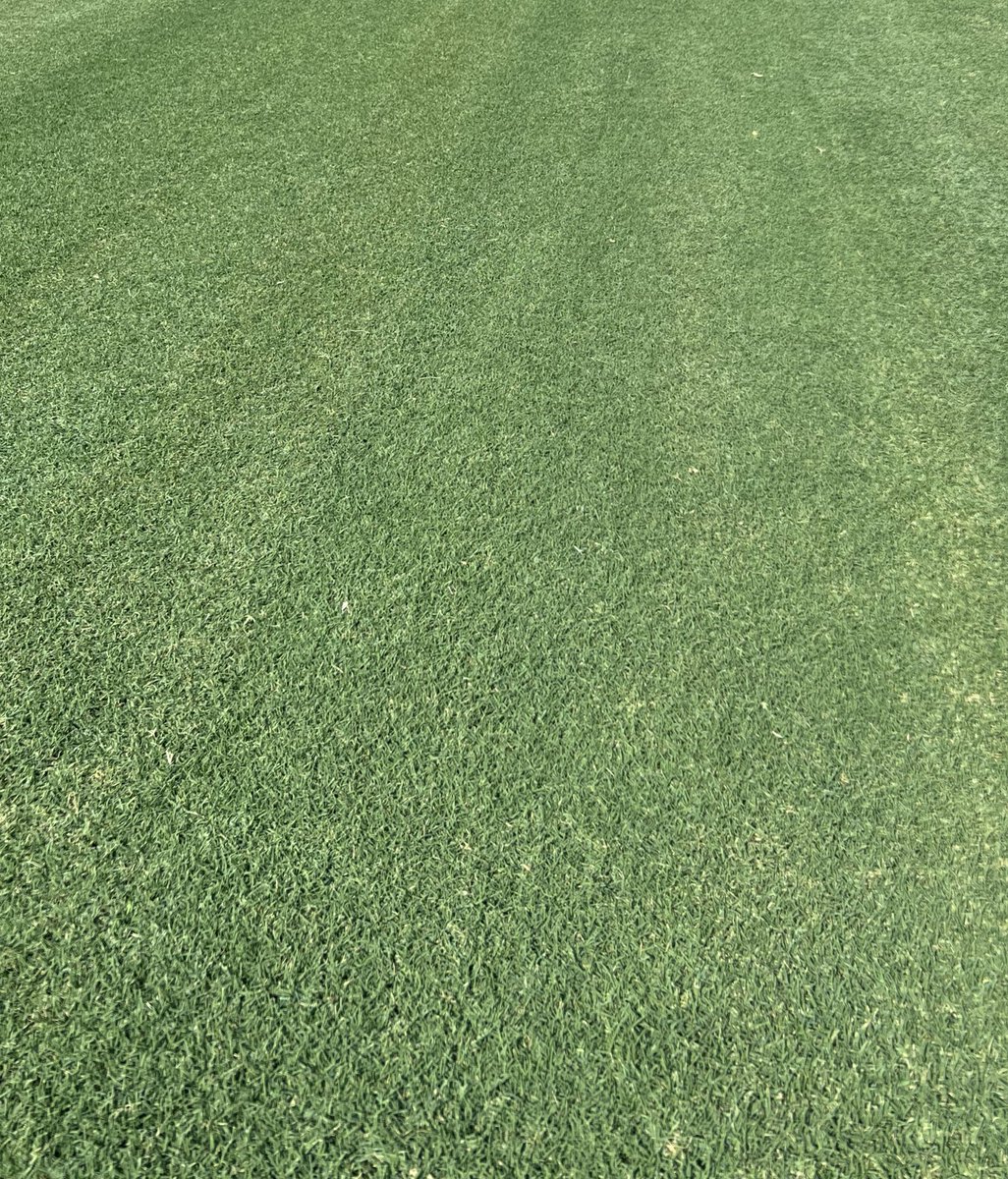 Winstead Turf Matrix (@winsteadmatrix) on Twitter photo New <a href="/WinsteadMatrix/">Winstead Turf Matrix</a> field grown in and ready for a new home. <a href="/winsteadturf/">Doug Estes</a> <a href="/Tahoma31Bermuda/">Tahoma 31</a> <a href="/FieldExperts/">SFMA</a> #SodOnPlastic #100%SandBase #NaturalGrass #Reinforced #ReadyToPlayTurf New <a href="/WinsteadMatrix/">Winstead Turf Matrix</a> field grown in and ready for a new home. <a href="/winsteadturf/">Doug Estes</a> <a href="/Tahoma31Bermuda/">Tahoma 31</a> <a href="/FieldExperts/">SFMA</a> #SodOnPlastic #100%SandBase #NaturalGrass #Reinforced #ReadyToPlayTurf
