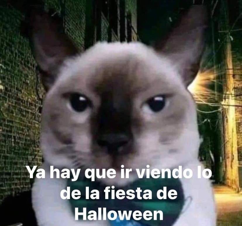 Salvador Iglesias Jr (@javisness) on Twitter photo 