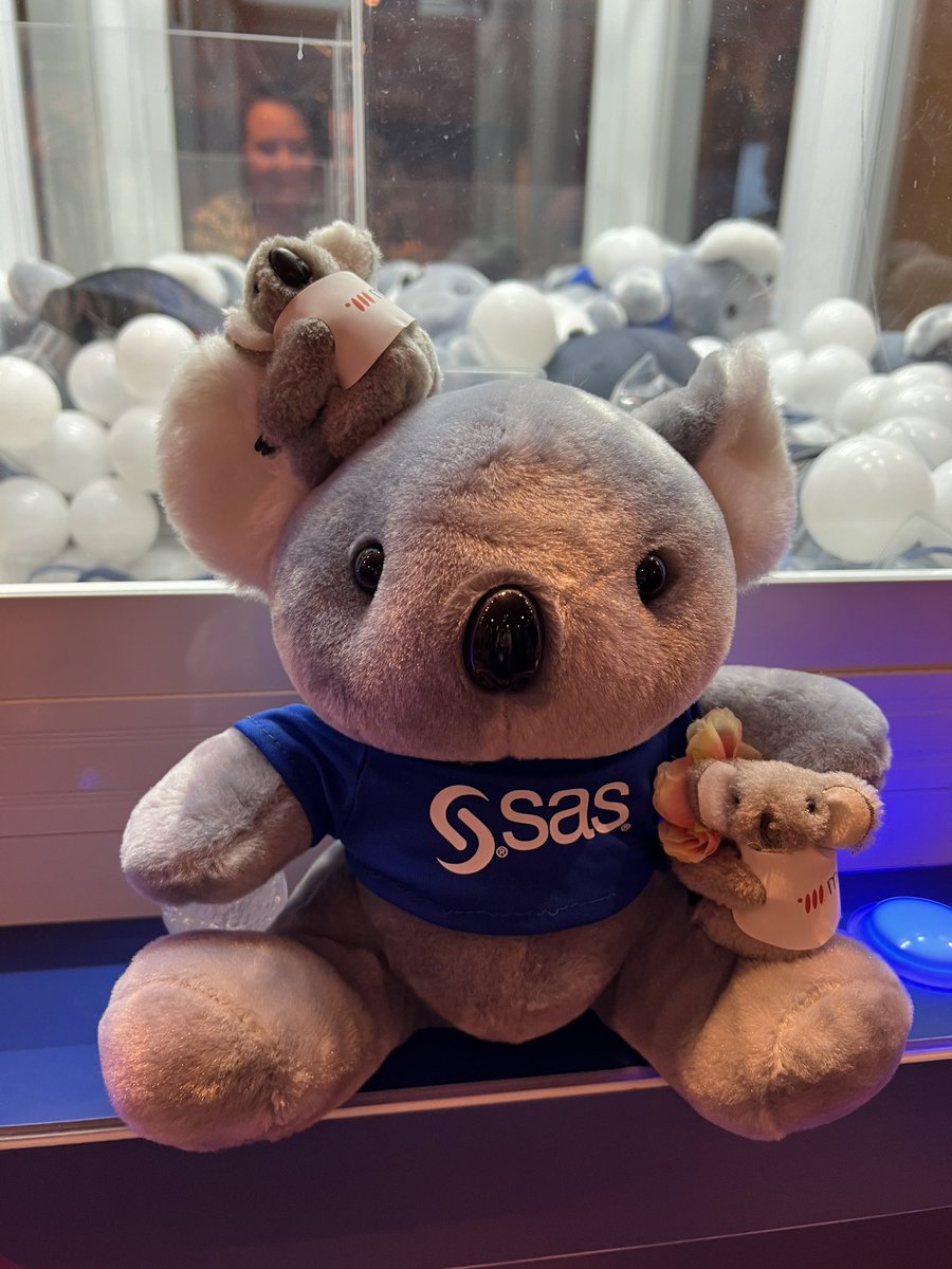 metacoda's tweet image. A @sassoftware koala escaped the #SASInnovateOnTour claw machine and the @metacoda koalas are having a koality time hanging out with it. 🐨🤩

#SASusers #SASpartners #metacoda #metacodakoala #SAS