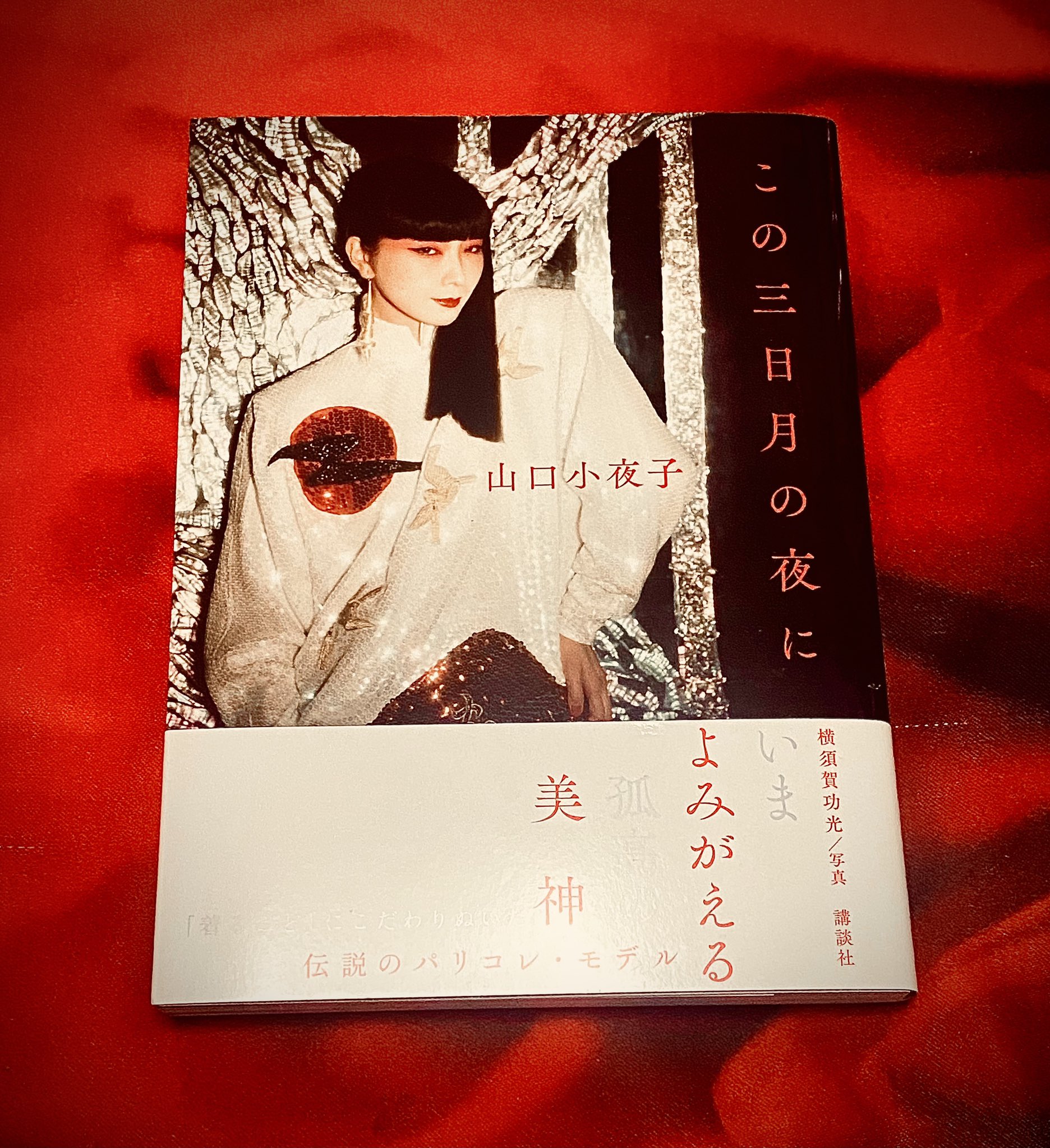 小夜子　横須賀功光　山口小夜子　Sayoko Yamaguchi　初版 小夜子 / Sayoko（Signed） - 横須賀 功光 / Noriaki Yokosuka