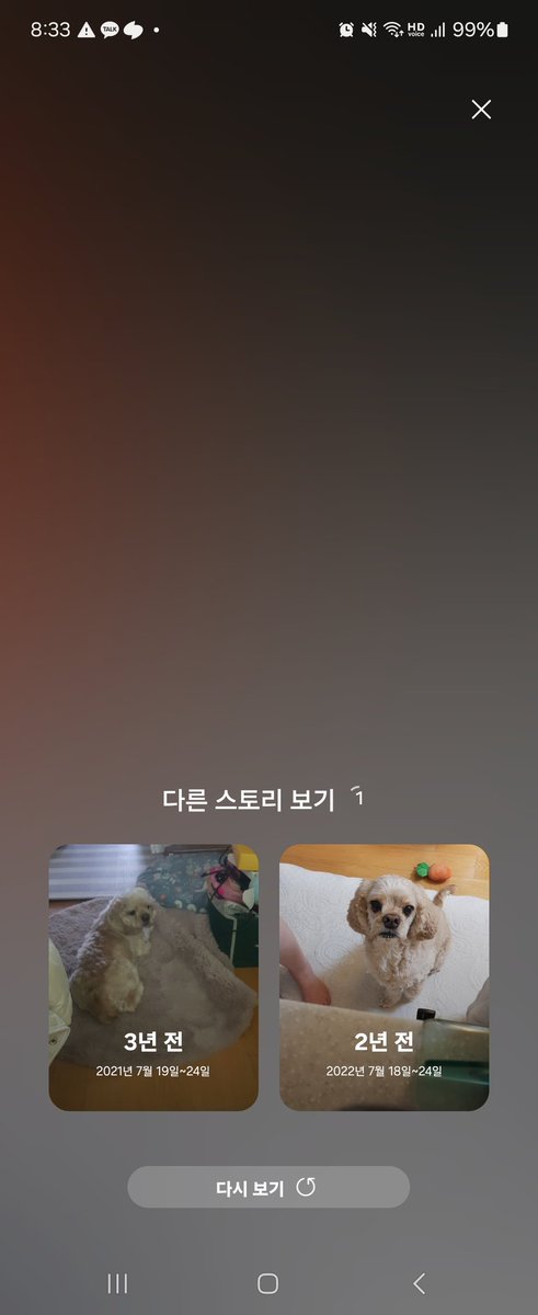 bom_i0927's tweet photo. 이건 강아지가 아니라고😠 https://t.co/TlFqaKne1y