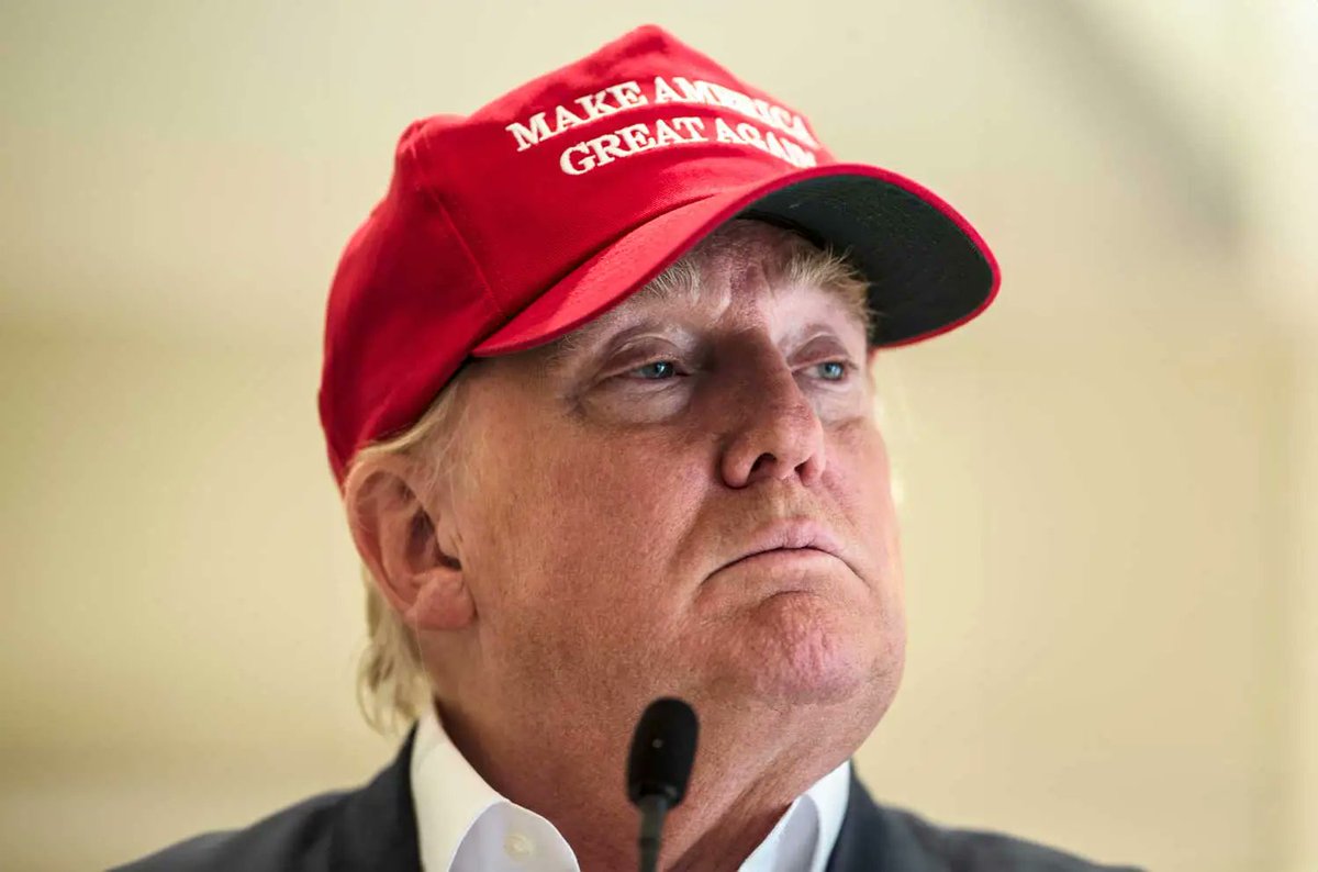 bradmarkowitz's tweet image. #Trump characterizes himself as a "fine and brilliant young man." Well, 25 percent true is a pretty high score for him.