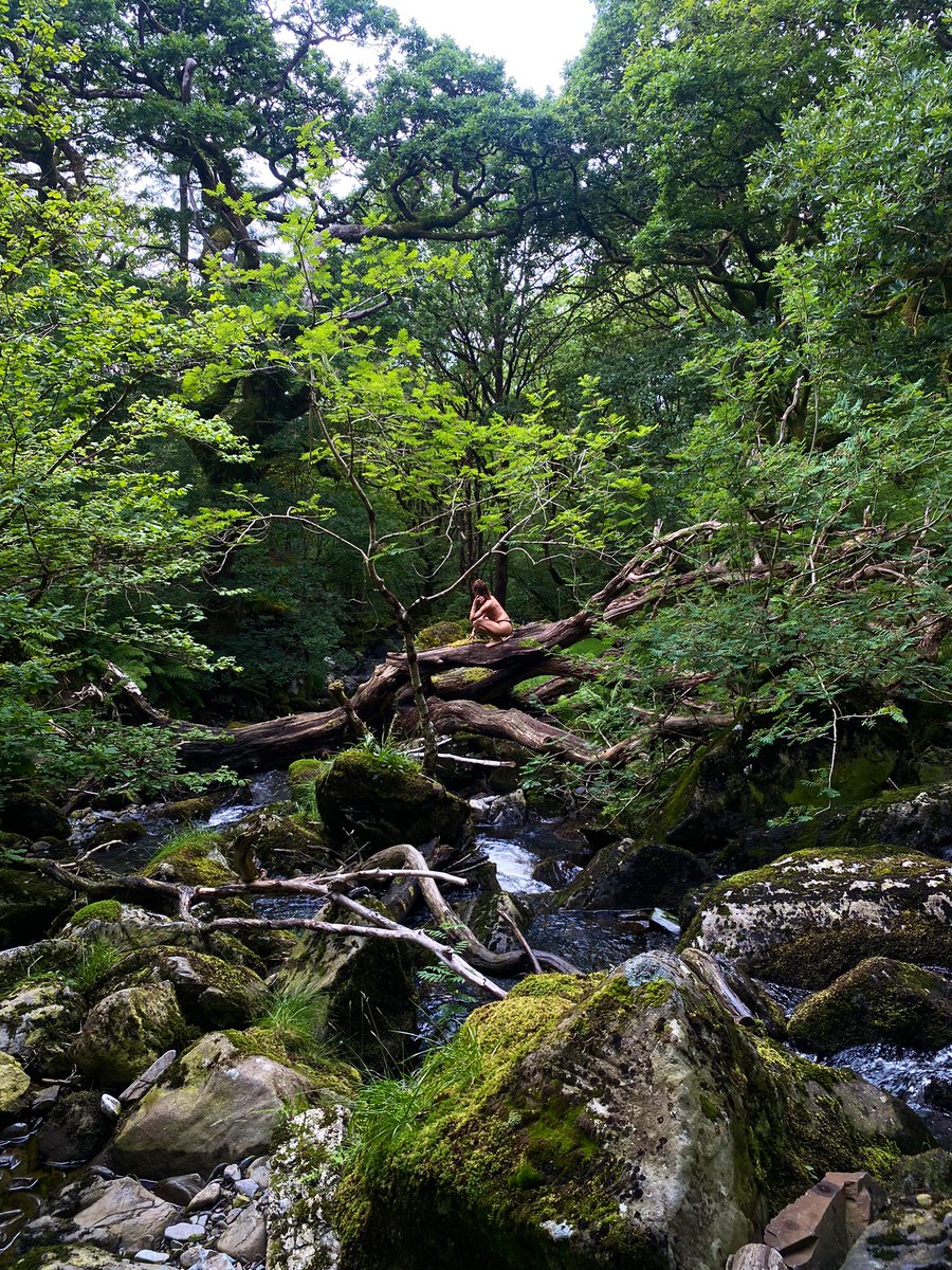 Patricia tweet media