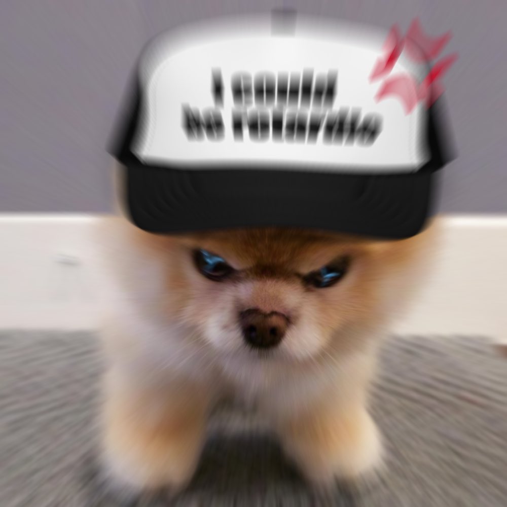 boodogsolana's tweet photo. Retar Dio $BOO https://t.co/I9uUt082Jy