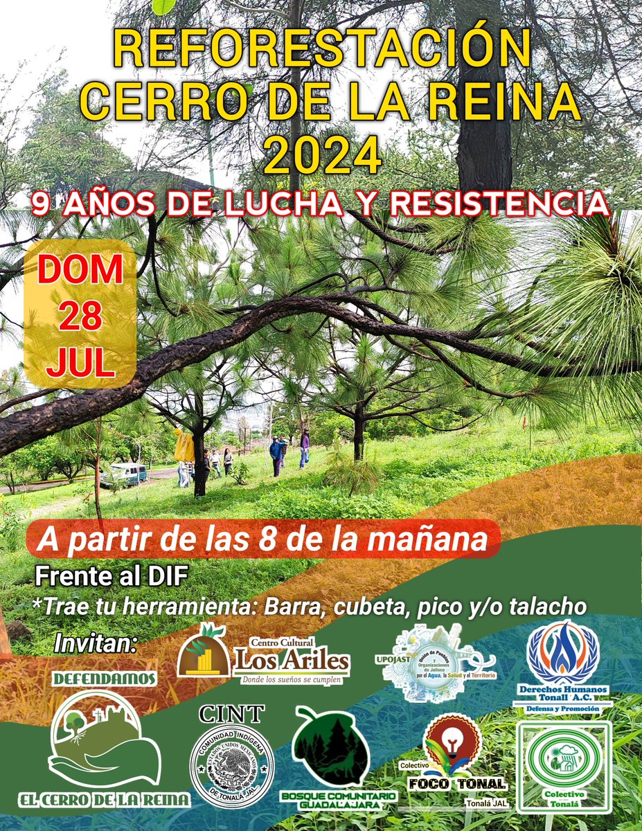 CerroDeLaReina's tweet photo. Acompáñanos a la segunda jornada de reforestación 2024. Ven con tu familia y juntos hagamos del mundo un lugar mejor. 
#CDCR #Tonalá #Aixcaquema #Reforestacion https://t.co/WqXXAdJroq
