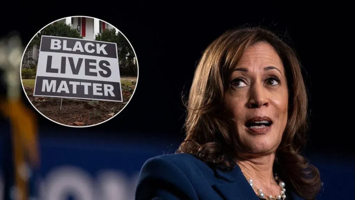 kylenabecker's tweet image. BLM Calls for DNC to Hold Virtual 'Snap Primary' after Dem Elites' 'Coup' to Install Kamala Harris

"We do not live in a dictatorship. Delegates are not oligarchs. Any attempt to evade or override the will of voters in our primary system—no matter how historic the candidate—must…