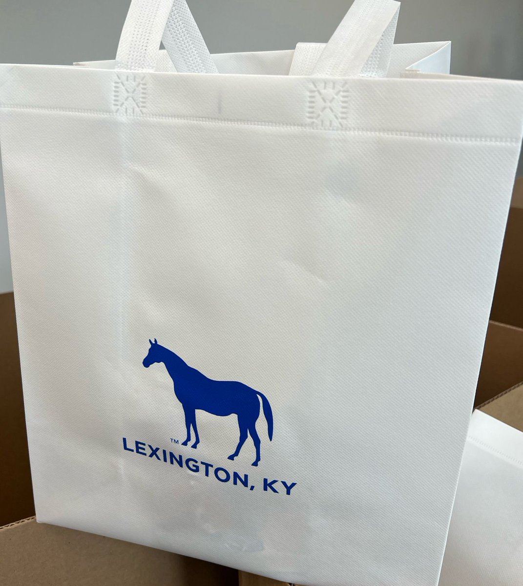 Conference bags ✅ 

Thanks to @VisitLex for the bags!