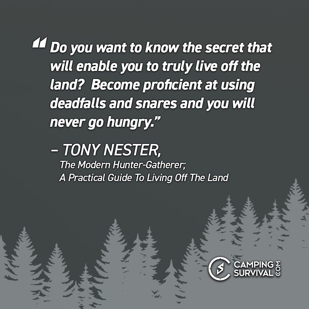 Camping Survival tweet media