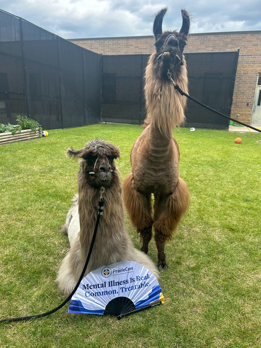 PrairieCare tweet media