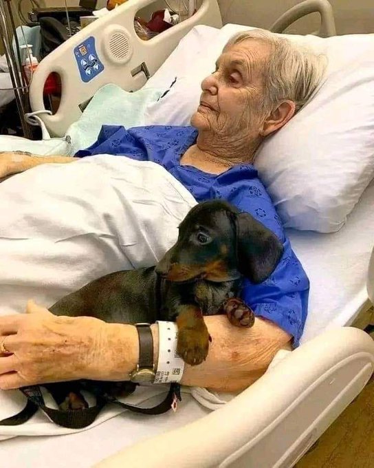 The Four Hearts tweet media