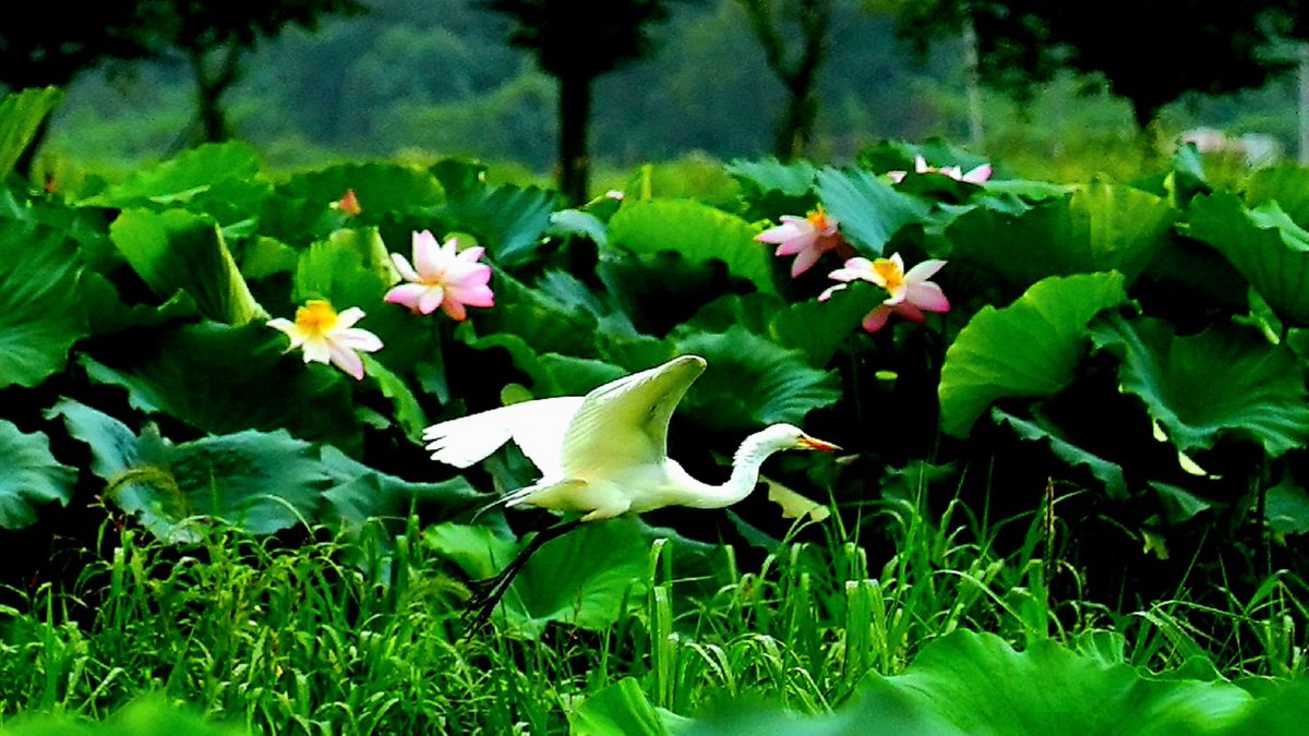 잠시
쉬었다 가자