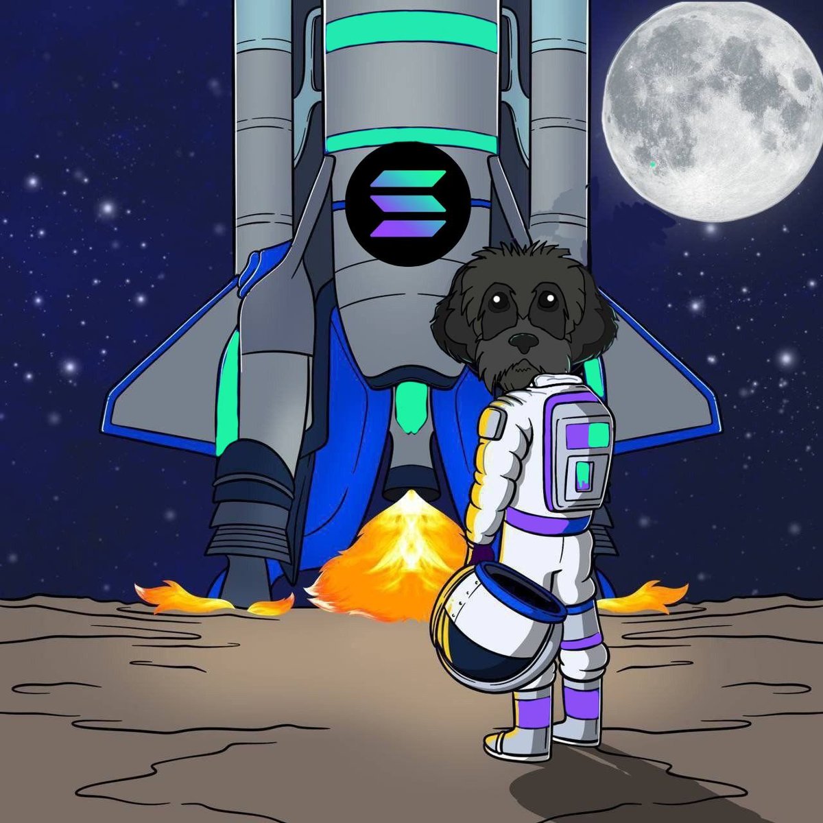 $SOL and $MYRO moon mission begins 🌒🐕‍🦺