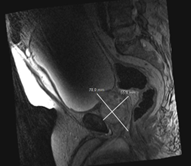 Marcelo Wroclawski tweet media