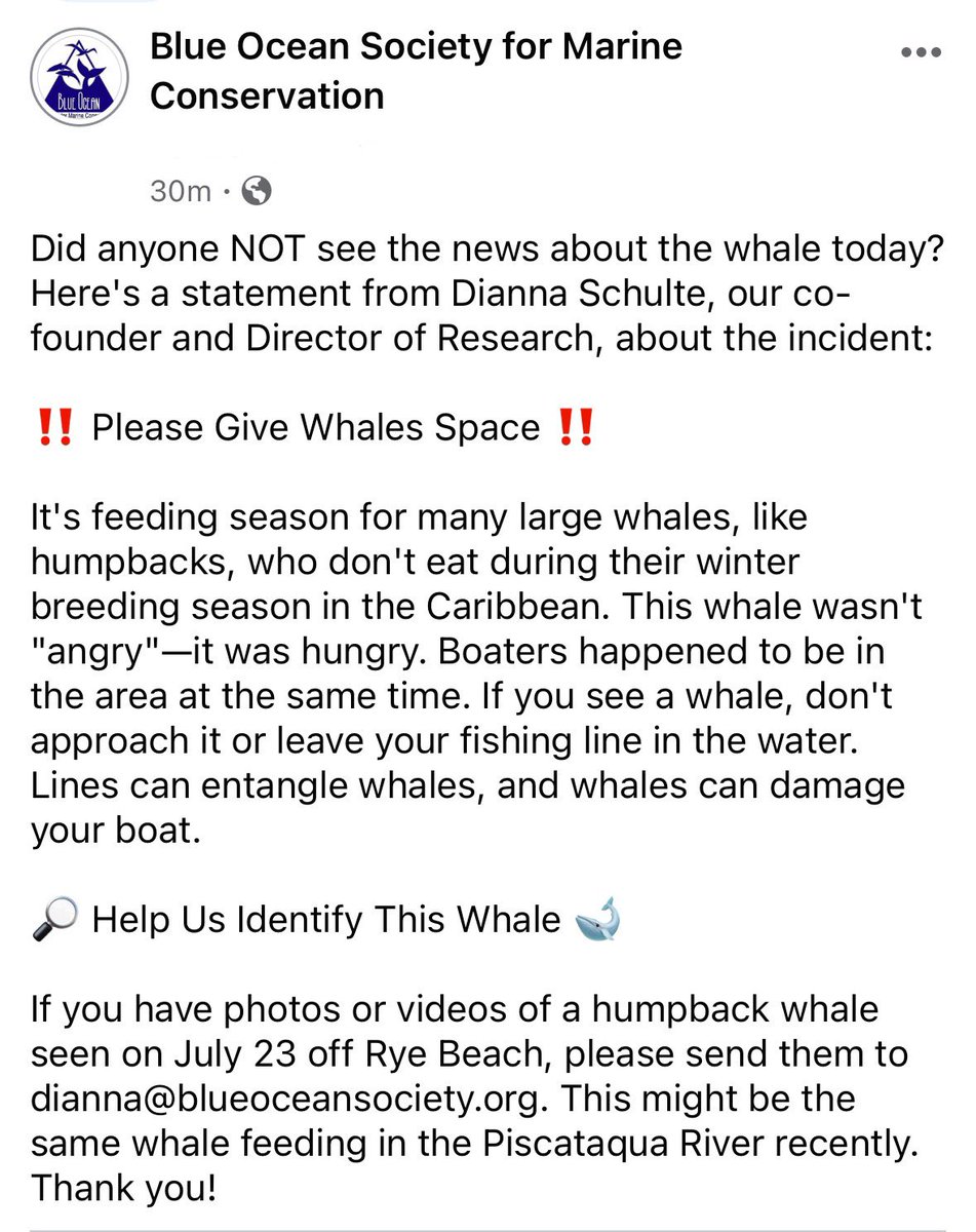 Blue Ocean Society tweet media