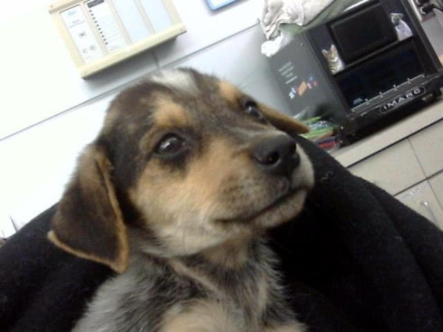 TomJumboGrumbo tweet picture