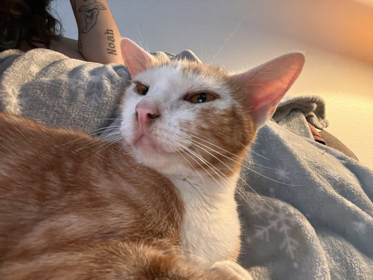 You done TICKED me off lady! 
Waking me up! And for what?