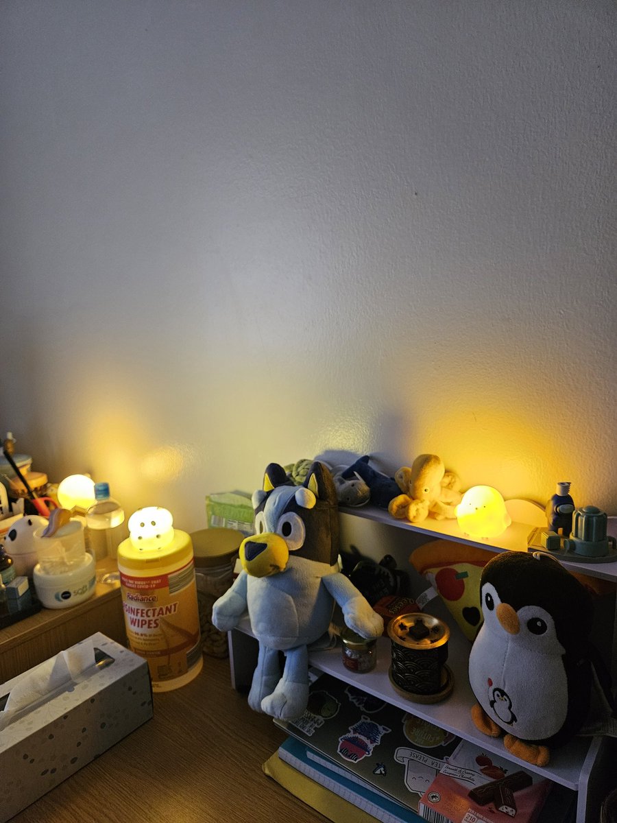 barely_makin_it's tweet image. حاولت اخلي غرفتي فيها شوية لمستي..مو كان سجن..طبعا برعاية شي ان😂✌🏻