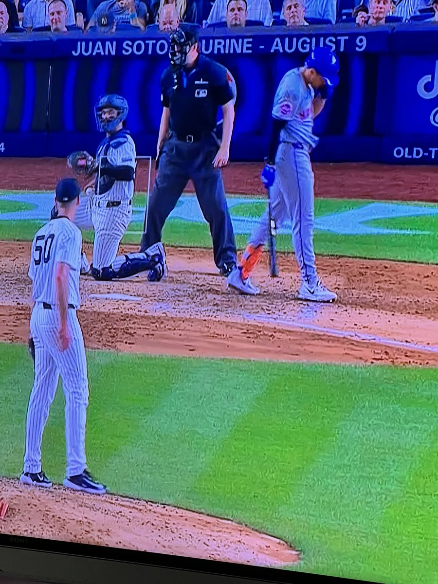 🇵🇷Amish🇵🇷 tweet media