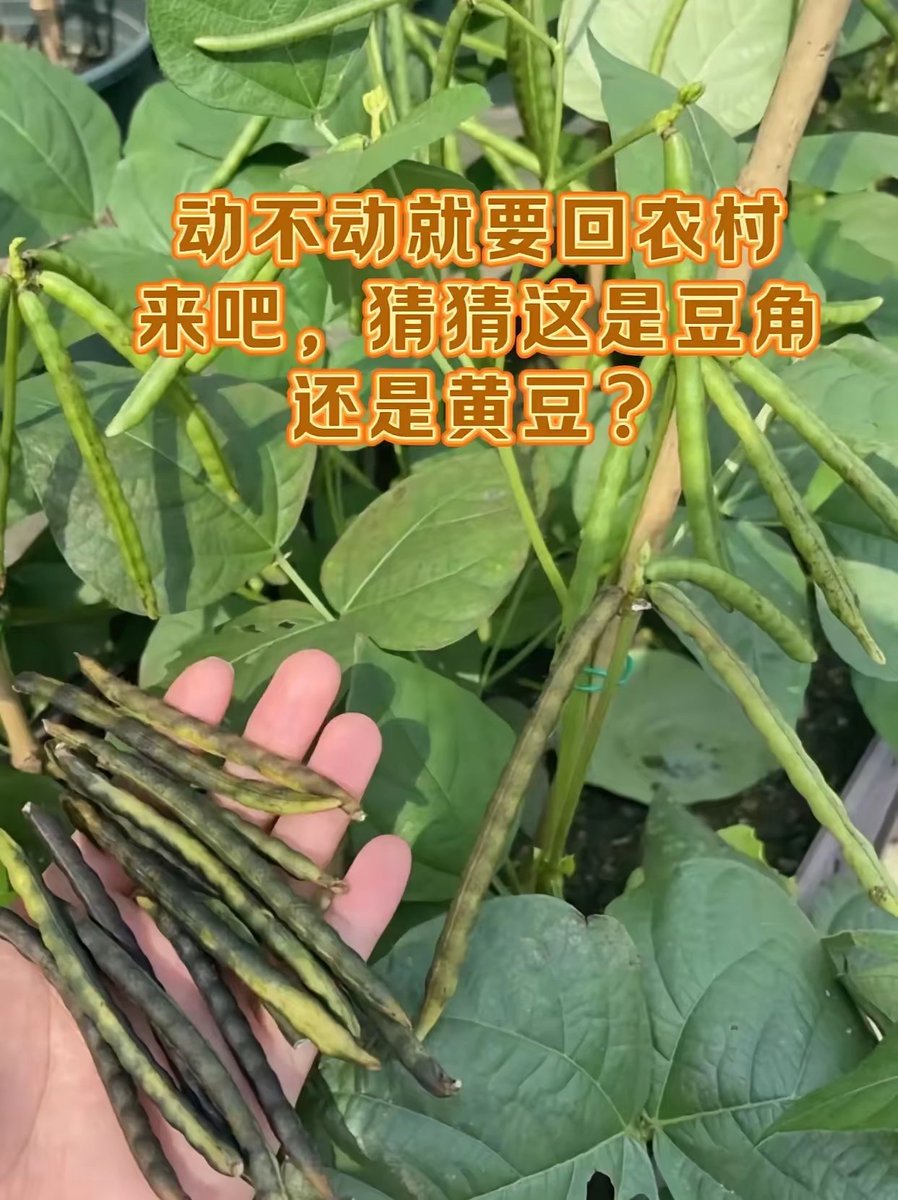 七寸光年 互fo tweet media