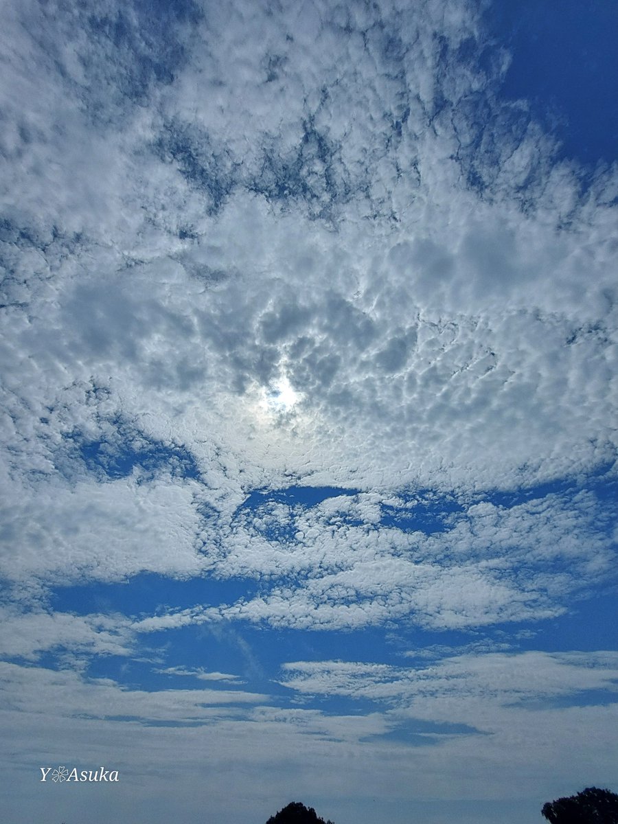 yumeasutw's tweet photo. #青空 にお日様ギラギラ✨ #高積雲 が広がる蒸し暑い水曜日の朝🌤️
予想最高/最低気温🌡️35℃/25℃
晴れのち曇り一時雨☀️→☁️|☔
お洗濯日和👕👖午後は雲が多くなり俄か雨に御用心⛈️
#イマソラ #いまそら
#空の名前
#天気の図鑑 #雲の超図鑑
#a2024 #a0724 #a202407 #a2024074 https://t.co/EZZVWlmYf2