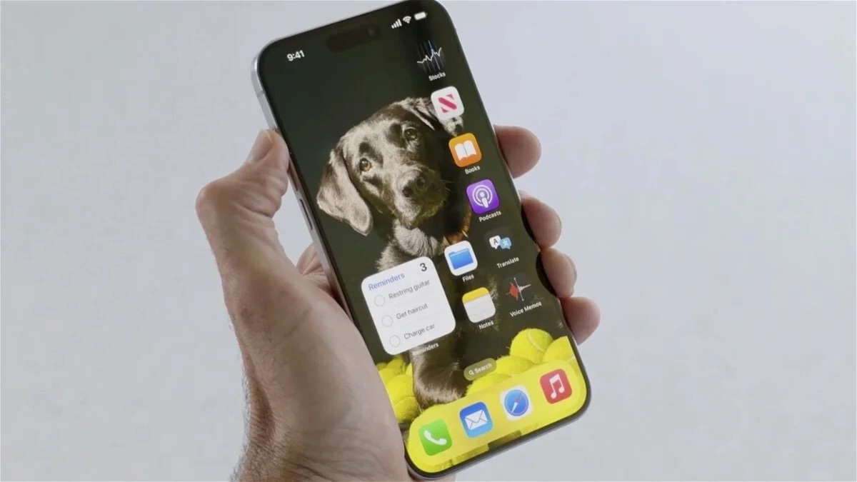 Fran Besora tweet media