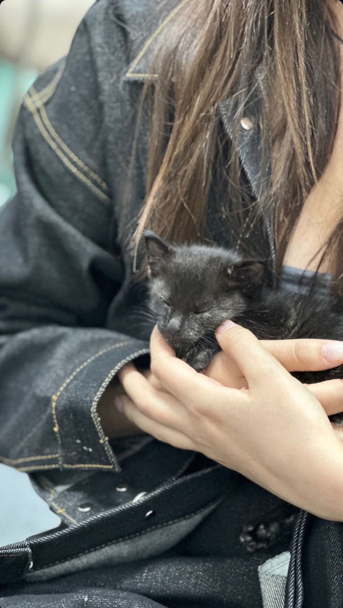 iMet_LEA's tweet photo. the first time lea hold aqua..
she was so small 🥹🐈⬛🐾🤍
#AQUADAY #아쿠아DAY https://t.co/tEiaexJ1xN