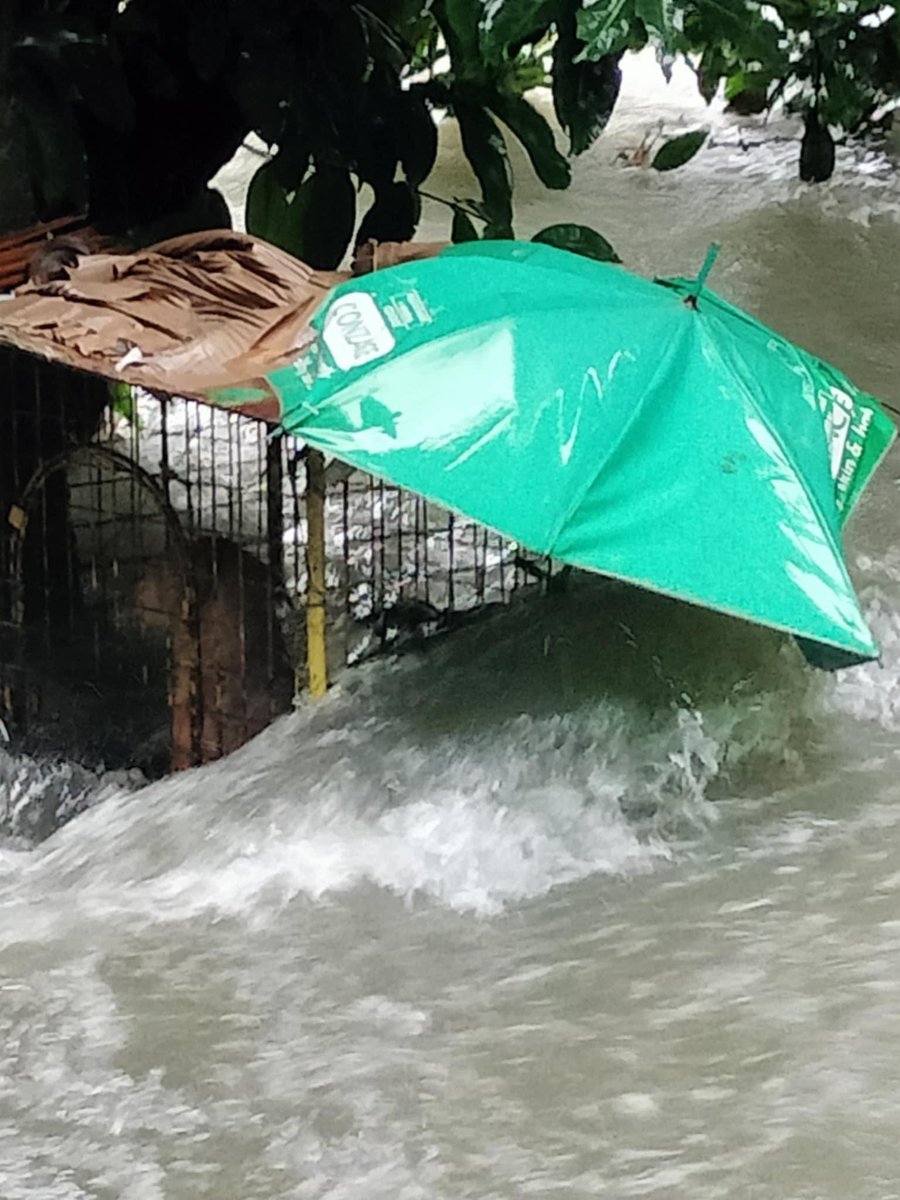 Smart_Drayy tweet media