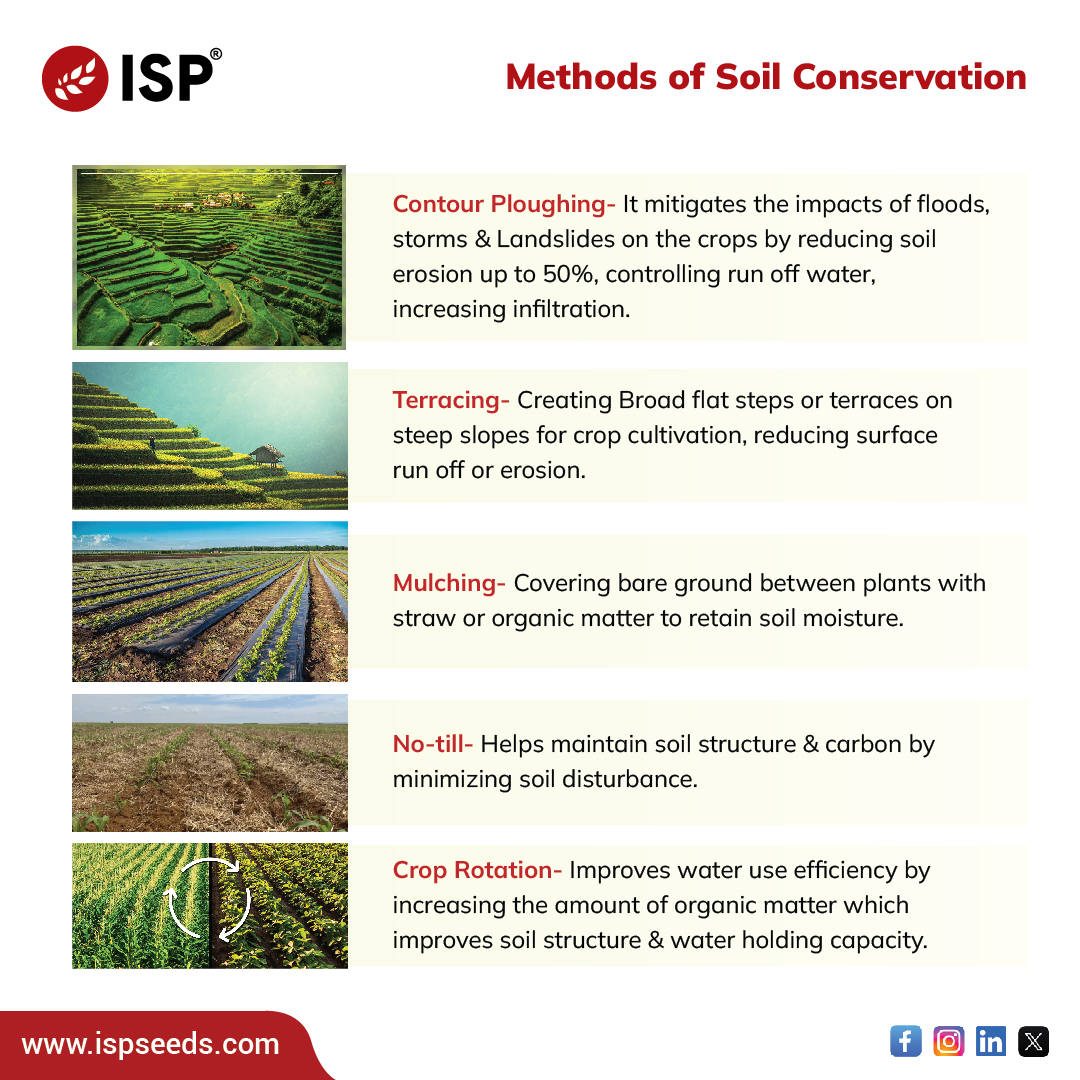 ispseeds's tweet photo. Healthy soil, Healthy Planet.
Discover the best methods for Soil conservation!

Follow us for more information and visit our website - https://t.co/uItIHY0HcE

#soilconservation #sustainablefarming #soilhealth #ispseeds #soilcare #greenfarming #ecofriendly https://t.co/zbPShgdBwb