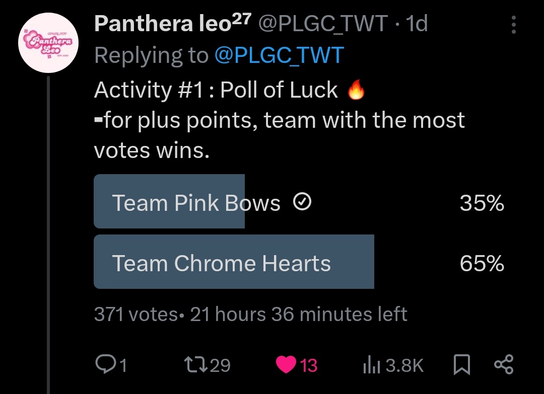 hi, oomfs ! please vote for team pink bows 🎀
