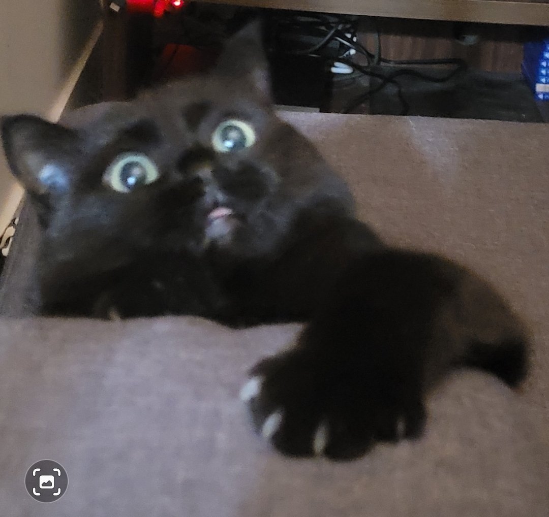 Jurassic Clark 🦖 (@jurassicclark_) on Twitter photo 