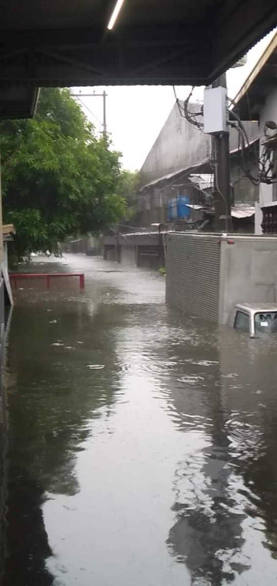 jasha 🩵💛IA tweet media