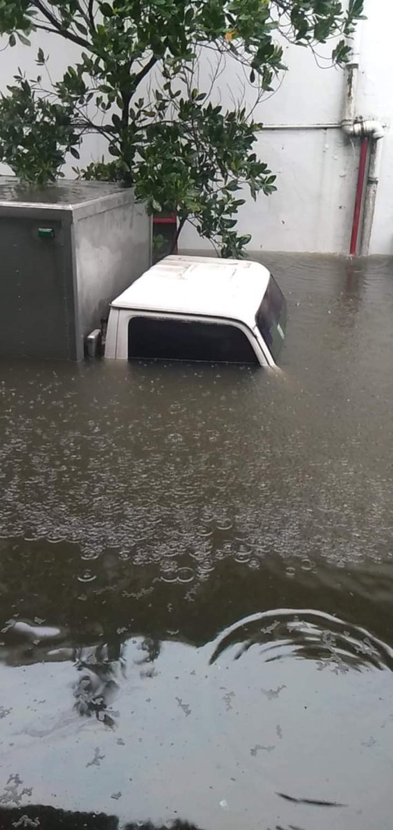 jasha 🩵💛IA tweet media