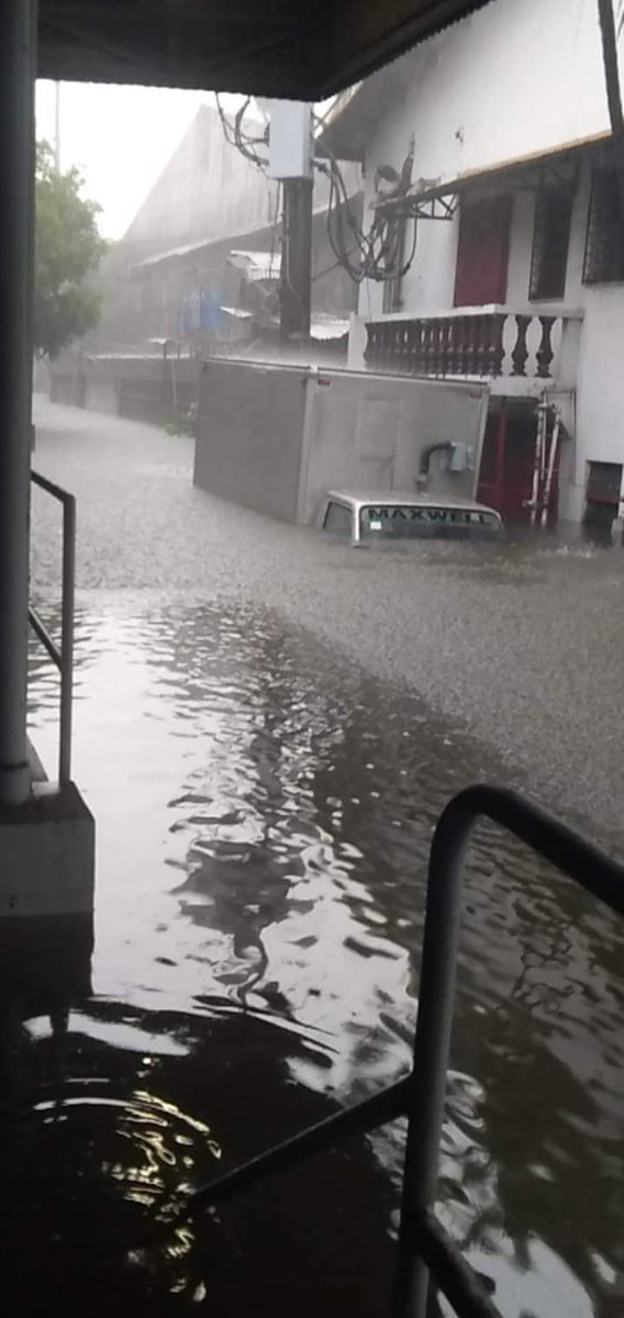 jasha 🩵💛IA tweet media