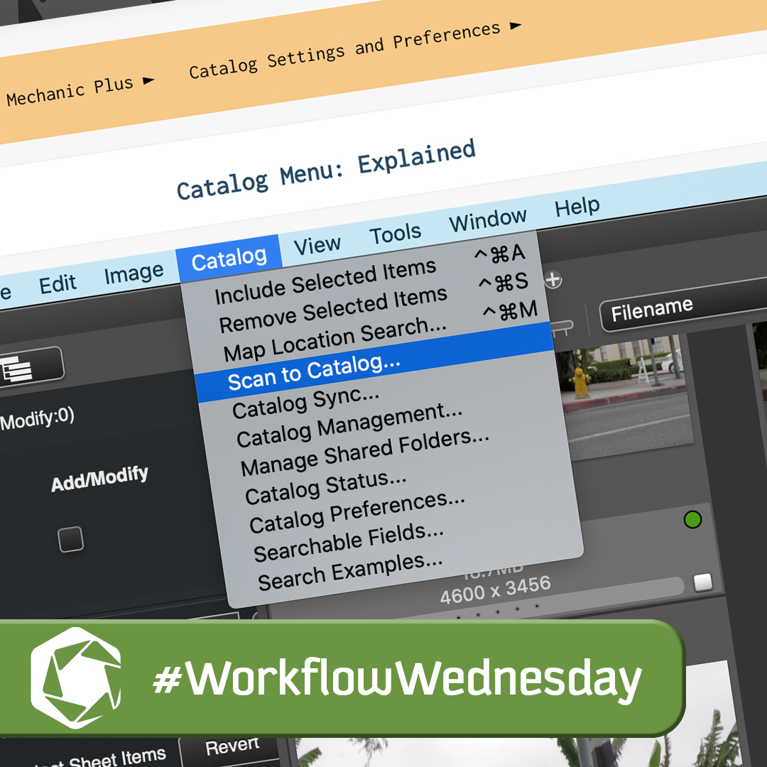 Learn about the options in the Catalog menu in Photo Mechanic Plus in today's #WorkflowWednesday post. Link in bio.