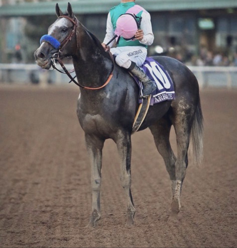 عطيناك سلمك فالمحبه وفالتقدير 
وعطيناك سلمك فالجفيّا وفالصده 

من يشوف نفسه غير ويشوف وضعه غير 
عيون العرب ما شافته مثل ما وده