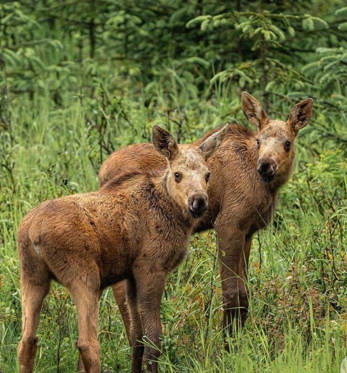 EXPERIENCE ZANZIBAR TOURS AND SAFARIS (@ezanzibar) on Twitter photo 