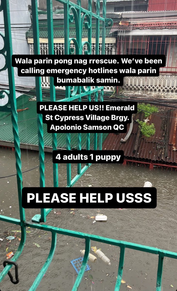 Maike Jahnke tweet media