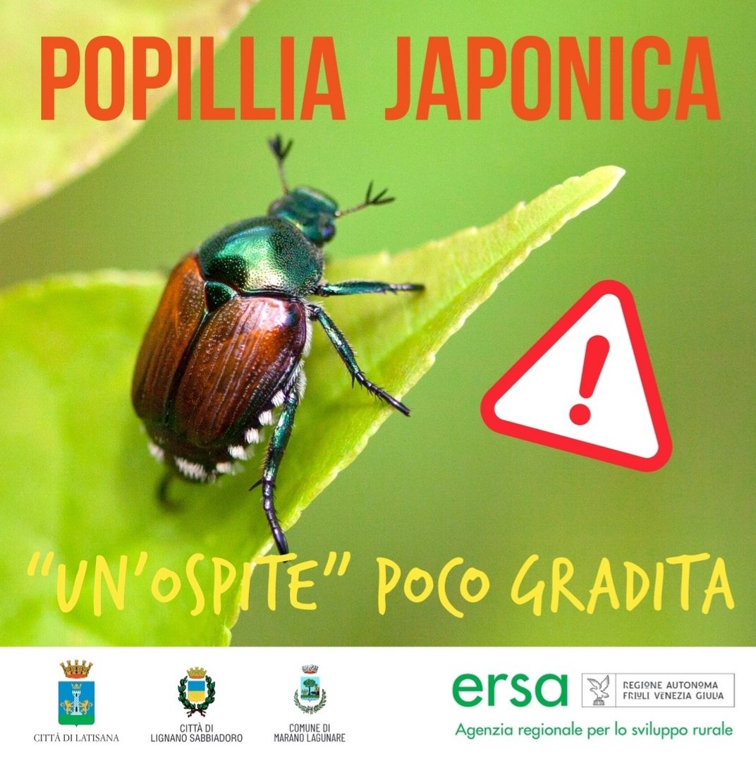 Nicola Bressi tweet media