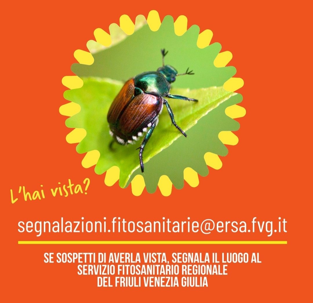 Nicola Bressi tweet media