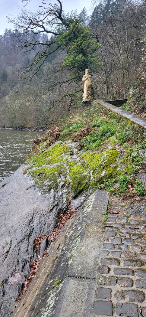 Patrick McGuinness tweet media