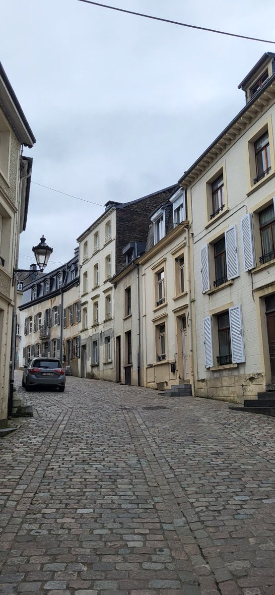 Patrick McGuinness tweet media