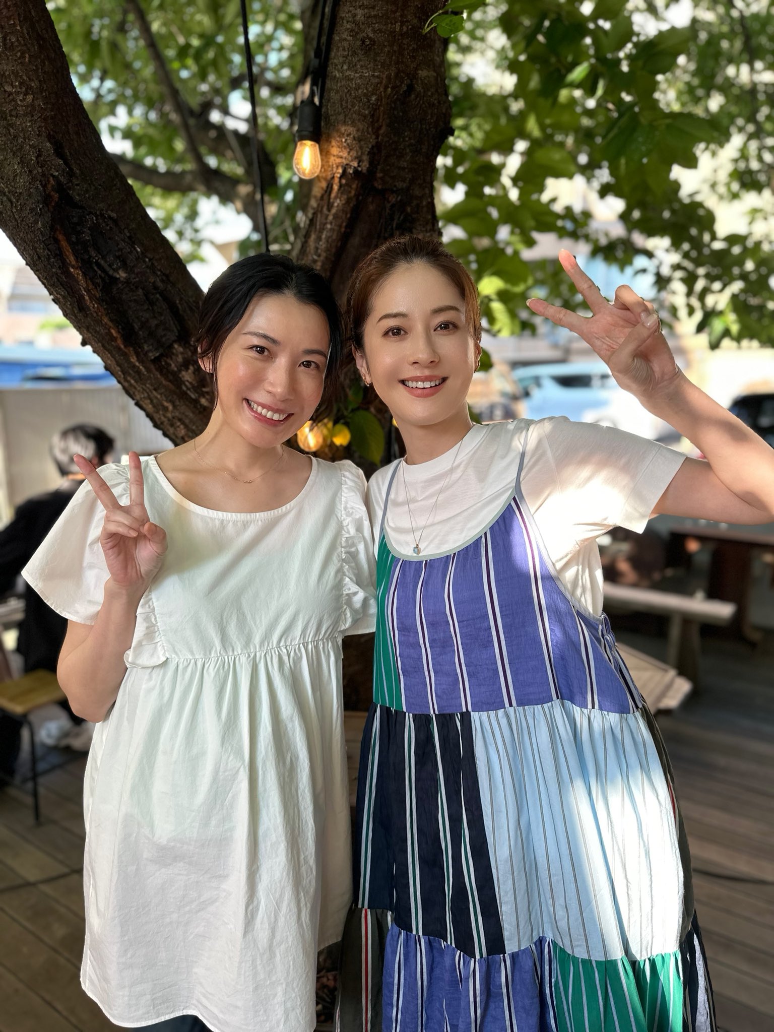 西園寺　　ピアス Chain Pierces 250 - SHIHARA