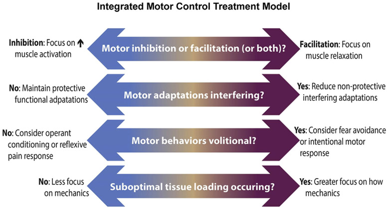 CorKinetic's tweet photo. What is the interaction between pain and movement?

A nice review of a few theories in this area

https://t.co/BQhds4xZjj. https://t.co/2VpjgZ163x