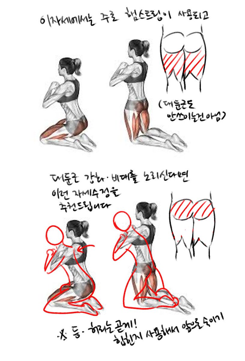 thiswomancrazy's tweet image. 만약 대둔근 성장을 위해 이 운동을 하신다면 이렇게 수행을 추천드립니다!
닐링스쿼트(무릎꿇고스쿼트)라는 동작이지만 실제로 수행해보시면, 특히 중량부하를 걸고 해보시면 힙쓰러스트/힙브릿지에 가까운 동작이라는걸 체감하실거에요