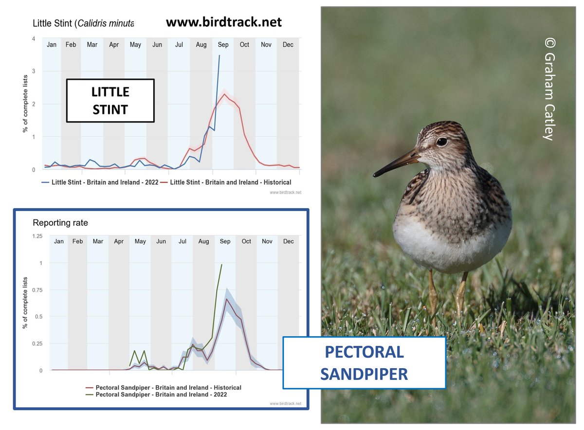 Graham Appleton tweet media