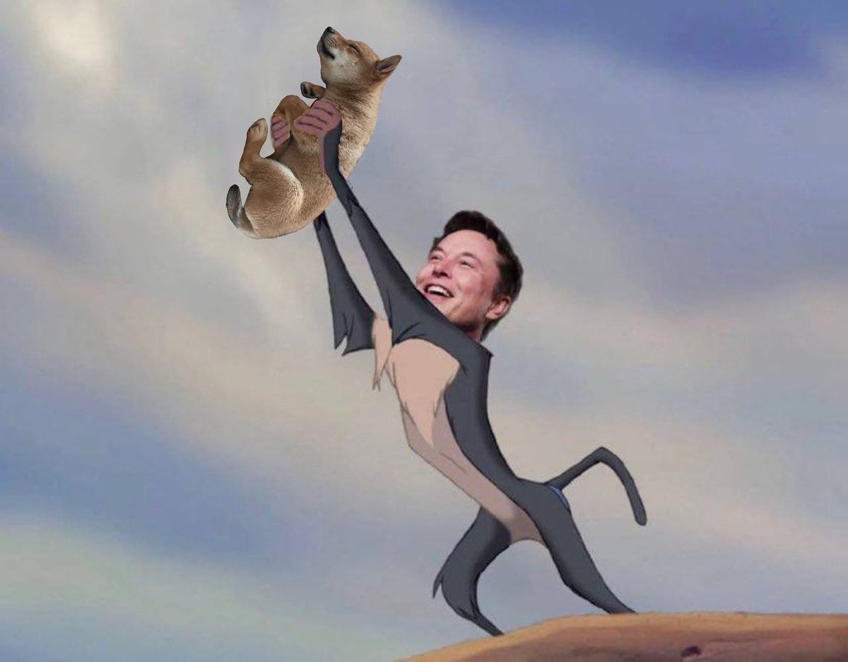 OzzyAyye's tweet image. Floki is the one 👑