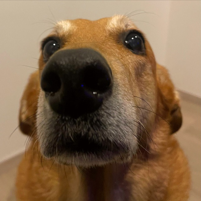 $MELODY

CA: 558VHdvZpsukHHgc1jc3xTxHKS6PnLE5WdMDoDdQpfuD

<a href="/dexscreener/">DEX Screener</a> : dexscreener.com/solana/558vhdv…

TG: t.me/melody_soltoken